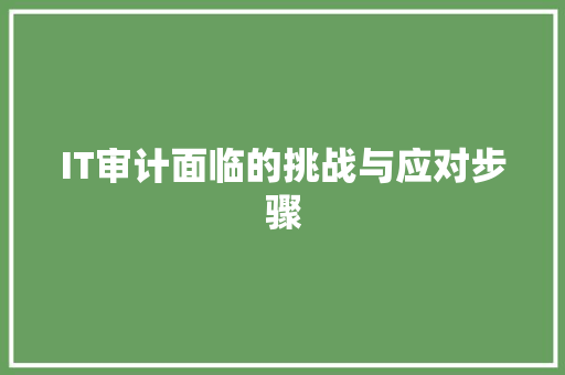 IT审计面临的挑战与应对步骤 SEO教程