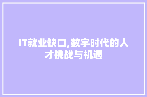IT就业缺口,数字时代的人才挑战与机遇 SEO教程