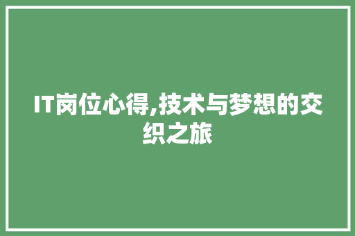 IT岗位心得,技术与梦想的交织之旅 Web前端