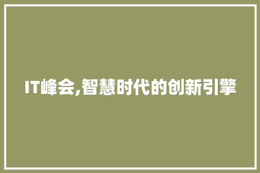 IT峰会,智慧时代的创新引擎 SEO教程