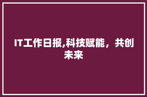 IT工作日报,科技赋能，共创未来 SEO教程