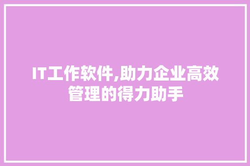 IT工作软件,助力企业高效管理的得力助手