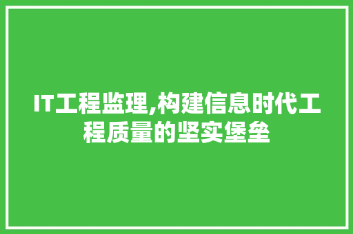 IT工程监理,构建信息时代工程质量的坚实堡垒 SEO教程
