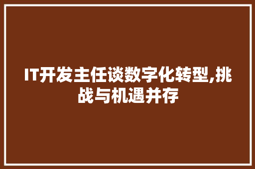 IT开发主任谈数字化转型,挑战与机遇并存