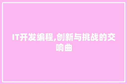 IT开发编程,创新与挑战的交响曲
