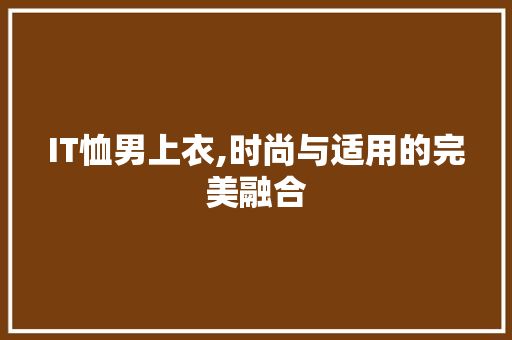 IT恤男上衣,时尚与适用的完美融合