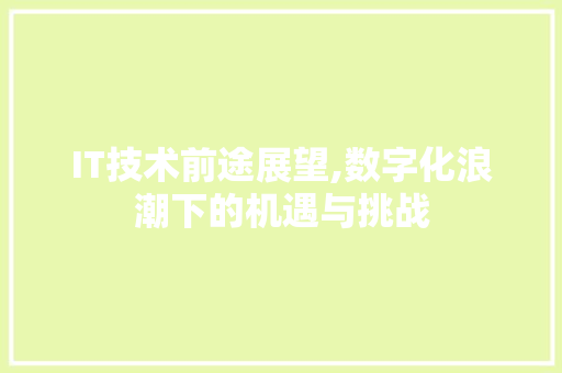 IT技术前途展望,数字化浪潮下的机遇与挑战 建站教程