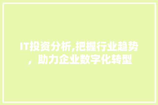 IT投资分析,把握行业趋势，助力企业数字化转型 Web前端