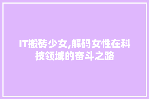 IT搬砖少女,解码女性在科技领域的奋斗之路 WordPress教程