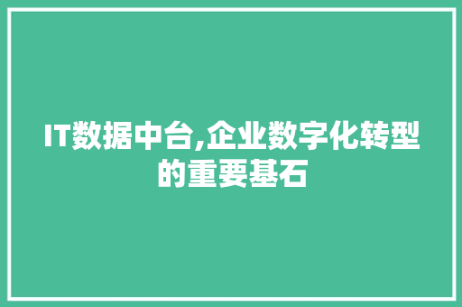 IT数据中台,企业数字化转型的重要基石 Web前端