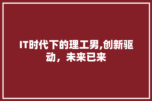 IT时代下的理工男,创新驱动，未来已来