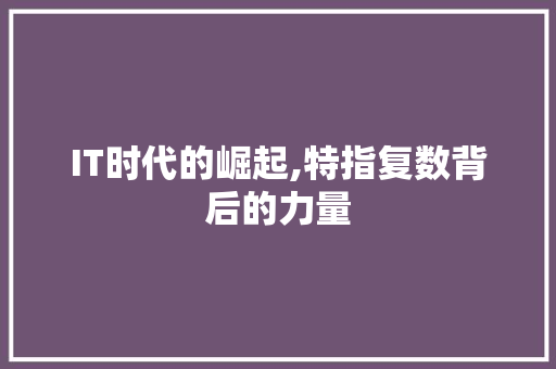IT时代的崛起,特指复数背后的力量 建站教程