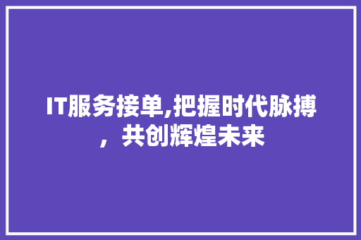 IT服务接单,把握时代脉搏，共创辉煌未来 WordPress教程