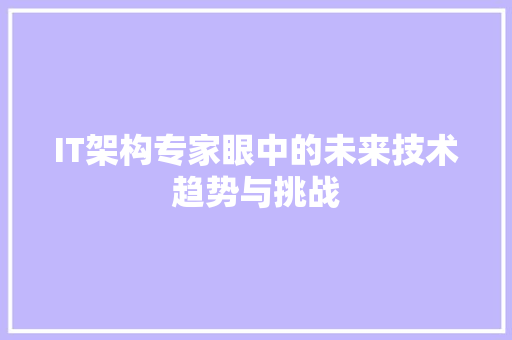 IT架构专家眼中的未来技术趋势与挑战