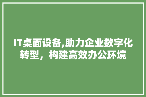 IT桌面设备,助力企业数字化转型，构建高效办公环境 友链在线