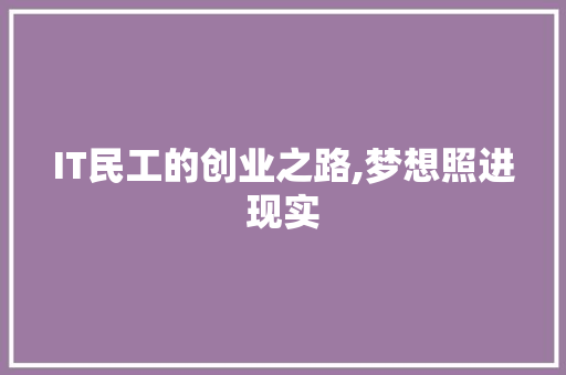 IT民工的创业之路,梦想照进现实 SEO教程