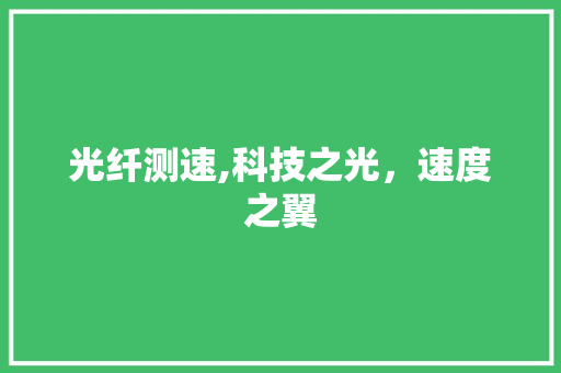 光纤测速,科技之光，速度之翼 SEO教程