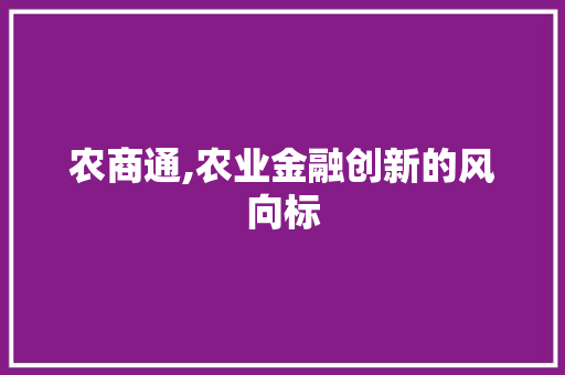 农商通,农业金融创新的风向标 SEO教程