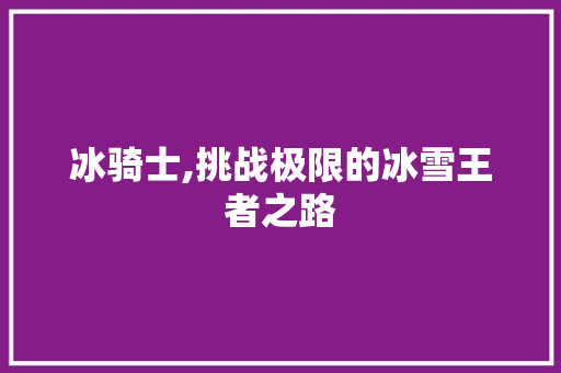 冰骑士,挑战极限的冰雪王者之路 SEO教程