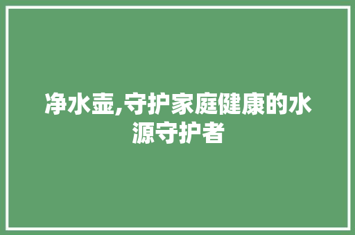 净水壶,守护家庭健康的水源守护者 友链在线