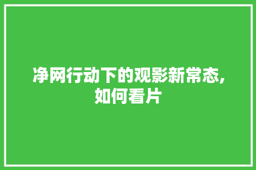 净网行动下的观影新常态,如何看片