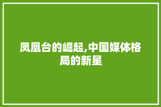 凤凰台的崛起,中国媒体格局的新星 服务器/数据库