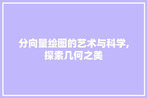 分向量绘图的艺术与科学,探索几何之美 建站教程