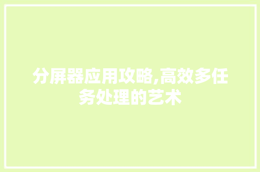分屏器应用攻略,高效多任务处理的艺术 服务器/数据库