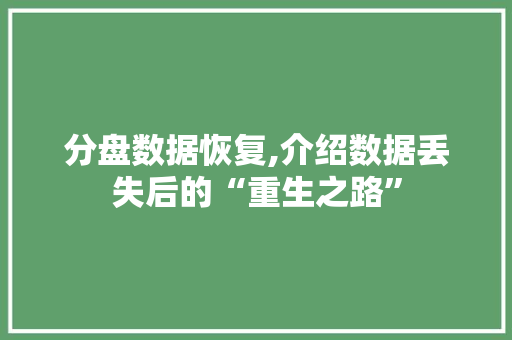 分盘数据恢复,介绍数据丢失后的“重生之路”