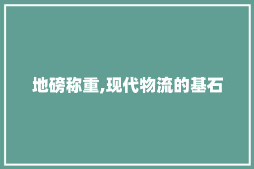 地磅称重,现代物流的基石
