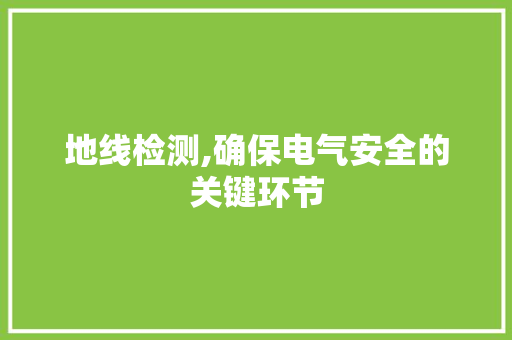 地线检测,确保电气安全的关键环节