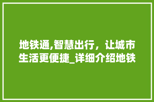 地铁通,智慧出行，让城市生活更便捷_详细介绍地铁通的使用方法及优势