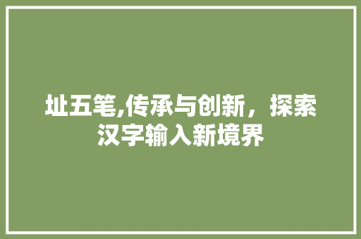址五笔,传承与创新，探索汉字输入新境界