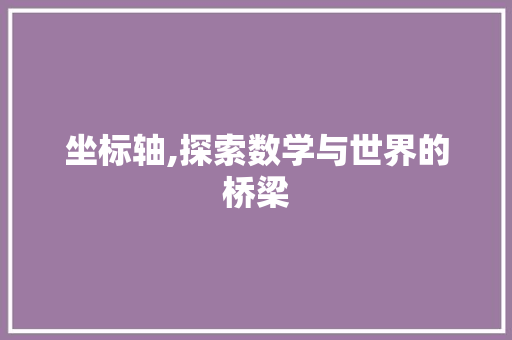坐标轴,探索数学与世界的桥梁