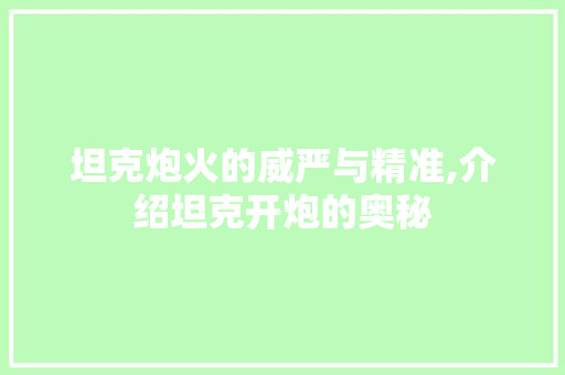 坦克炮火的威严与精准,介绍坦克开炮的奥秘