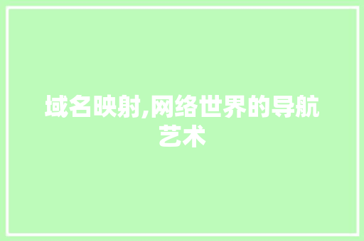 域名映射,网络世界的导航艺术 SEO教程