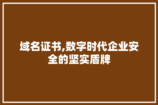 域名证书,数字时代企业安全的坚实盾牌