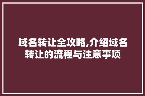 域名转让全攻略,介绍域名转让的流程与注意事项