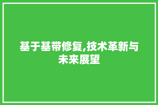 基于基带修复,技术革新与未来展望