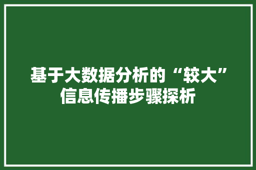 基于大数据分析的“较大”信息传播步骤探析