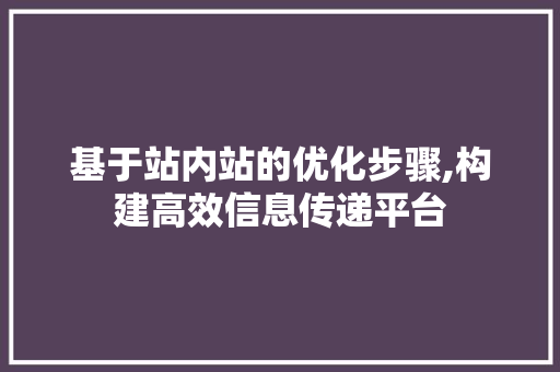 基于站内站的优化步骤,构建高效信息传递平台