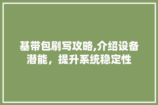 基带包刷写攻略,介绍设备潜能，提升系统稳定性