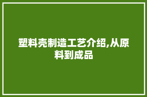 塑料壳制造工艺介绍,从原料到成品 SEO教程