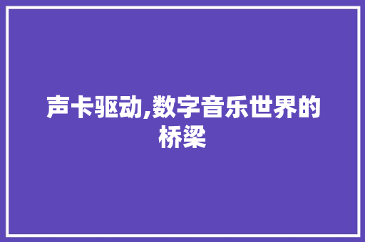 声卡驱动,数字音乐世界的桥梁