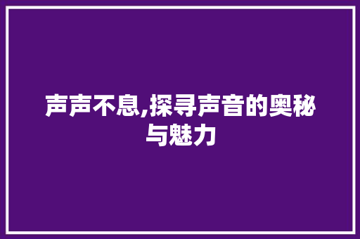 声声不息,探寻声音的奥秘与魅力