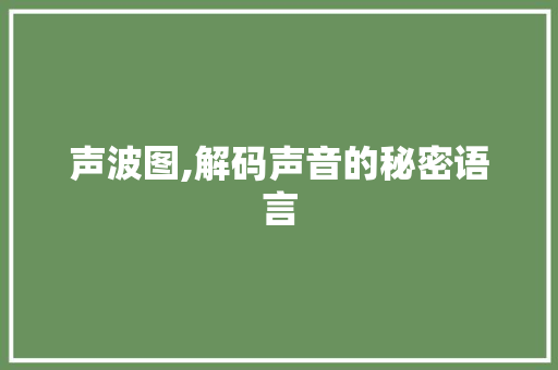 声波图,解码声音的秘密语言