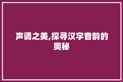 声调之美,探寻汉字音韵的奥秘 WordPress教程