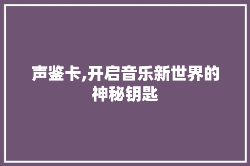 声鉴卡,开启音乐新世界的神秘钥匙