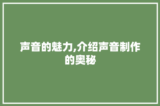 声音的魅力,介绍声音制作的奥秘 WordPress教程