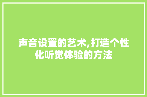 声音设置的艺术,打造个性化听觉体验的方法